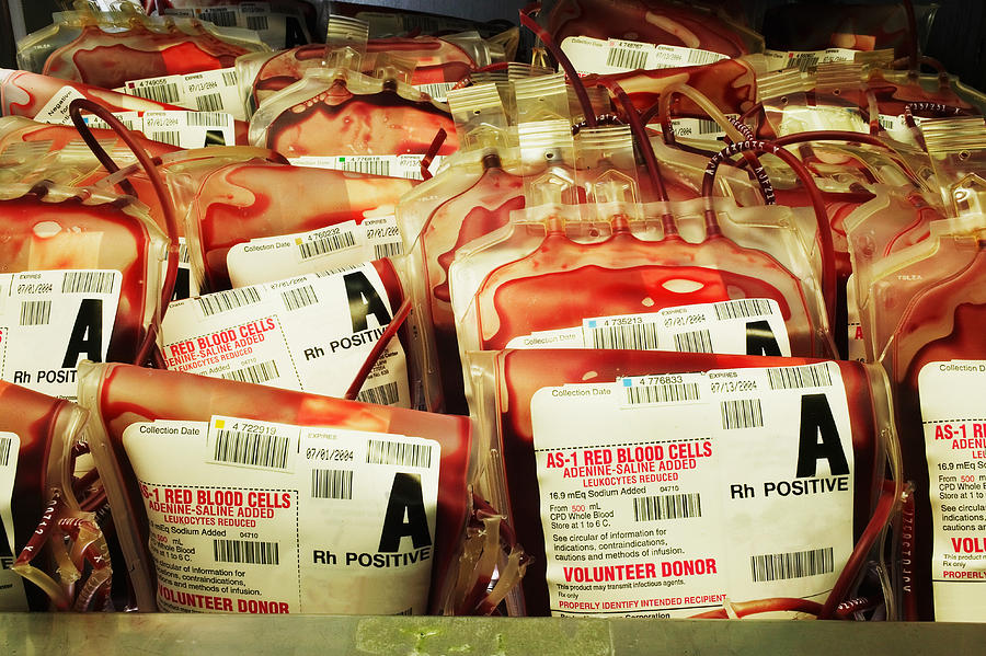 Blood bags filled with blood, close-up Photograph by Pnc
