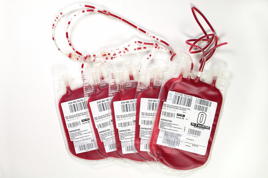 Blood Bags For Paediatric Transfusion Photograph by Antonia Reeve ...