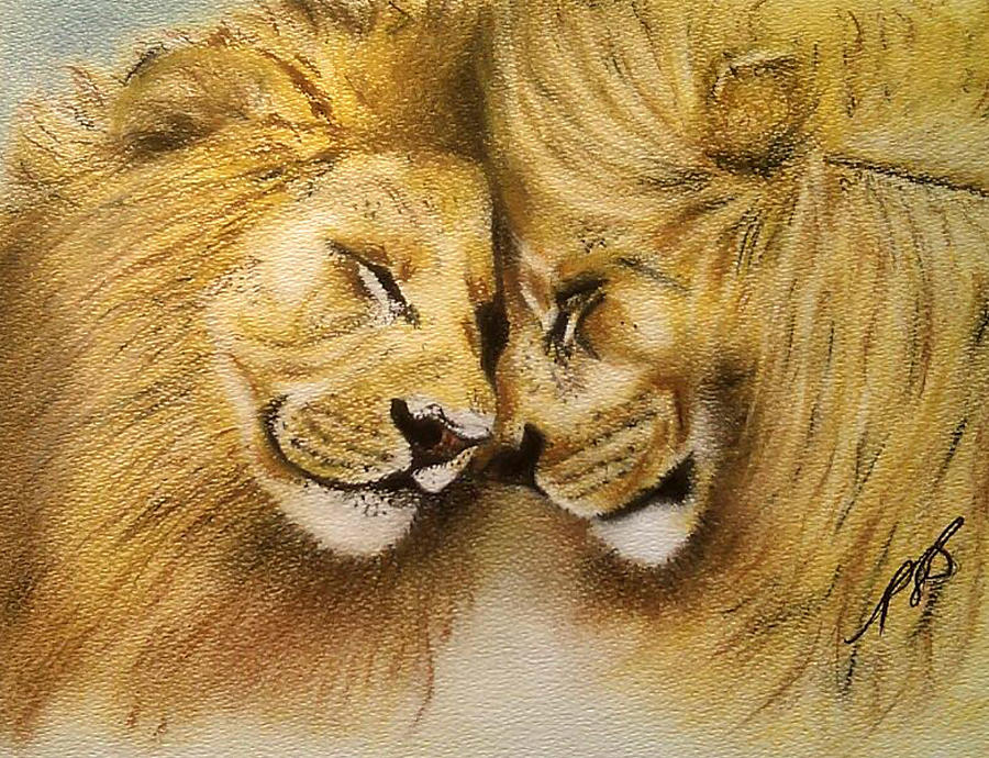 Wildlife Drawing - Blood Brothers by Paula Steffensen