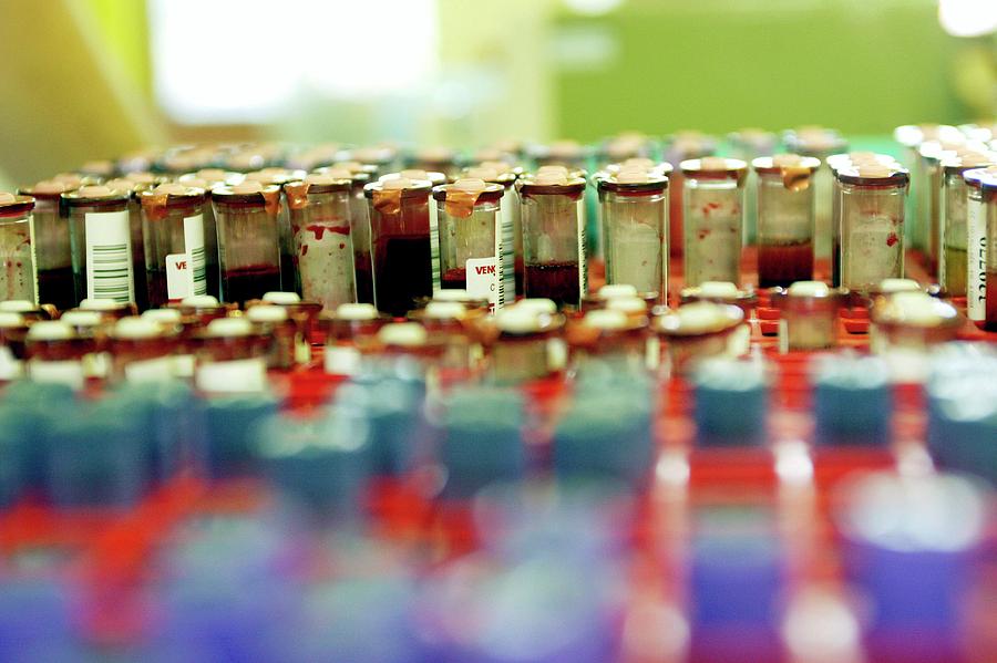 Blood Donation Testing Vials Photograph by John Thys/reporters/science