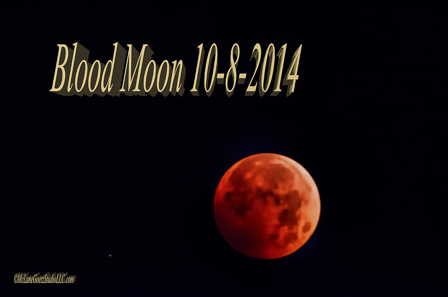 Blood Moon 2014 Photograph