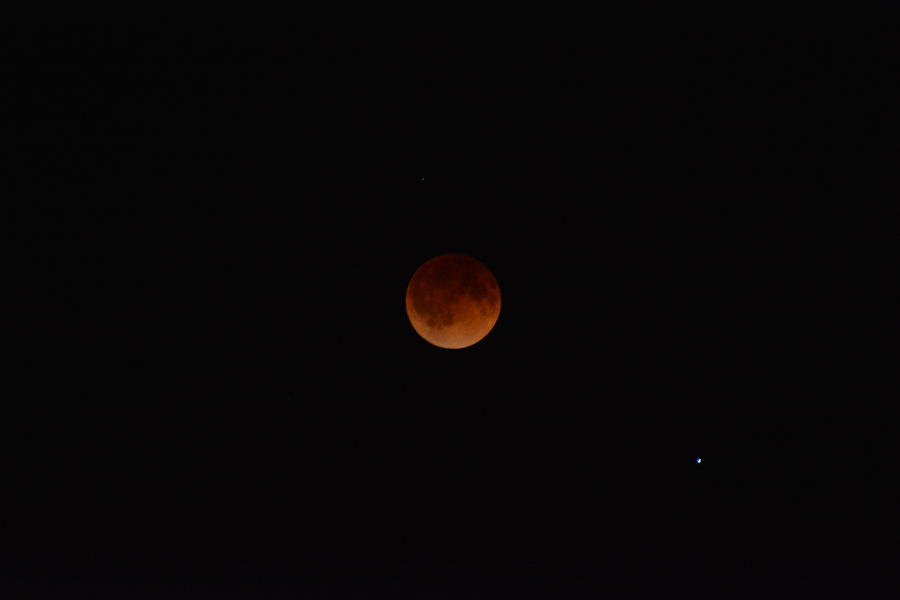 Blood Moon and Mars Photograph by Nate Sieber - Fine Art America