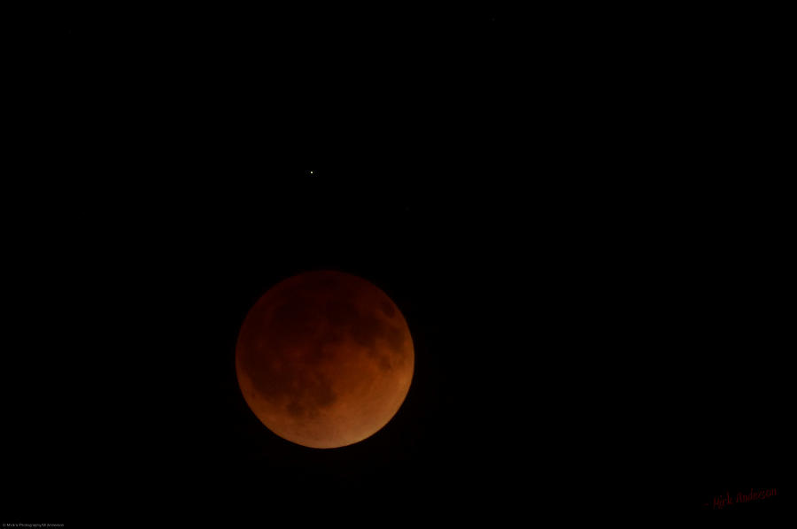 Blood Moon and Single Star Photograph by Mick Anderson