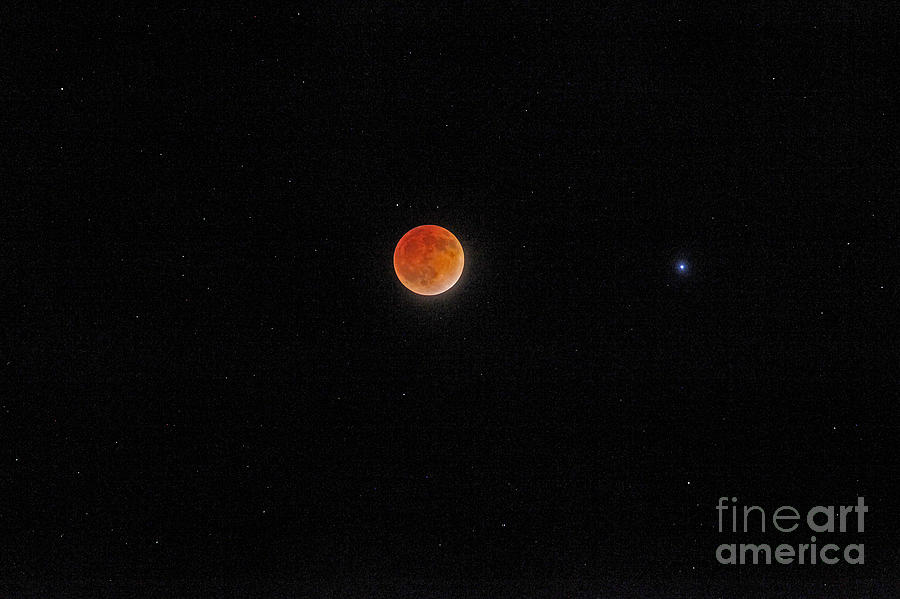 Blood Moon and Stars Photograph by Martin Konopacki