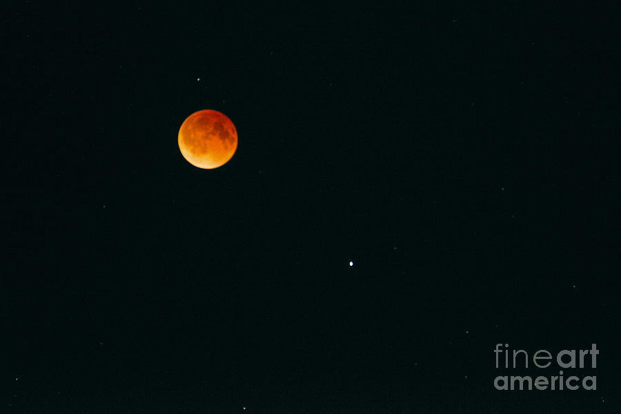 Blood Moon Photograph by Bob Phillips