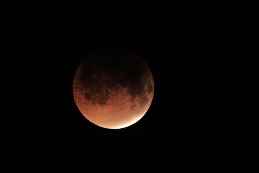 Blood Moon Photograph by Bradford Martin
