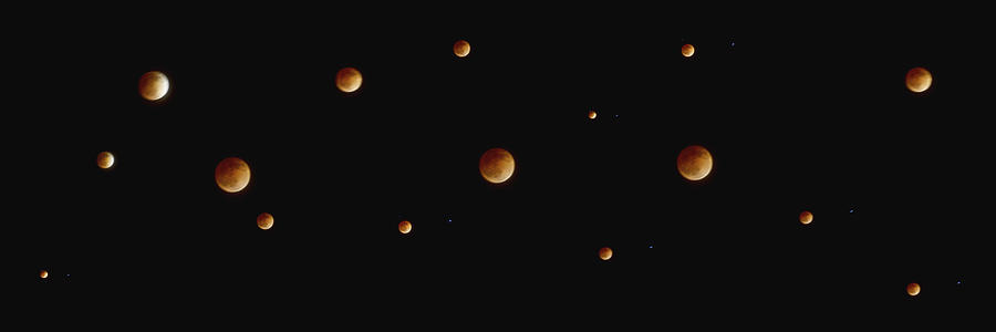 Blood Moon Collage Photograph by SC Heffner
