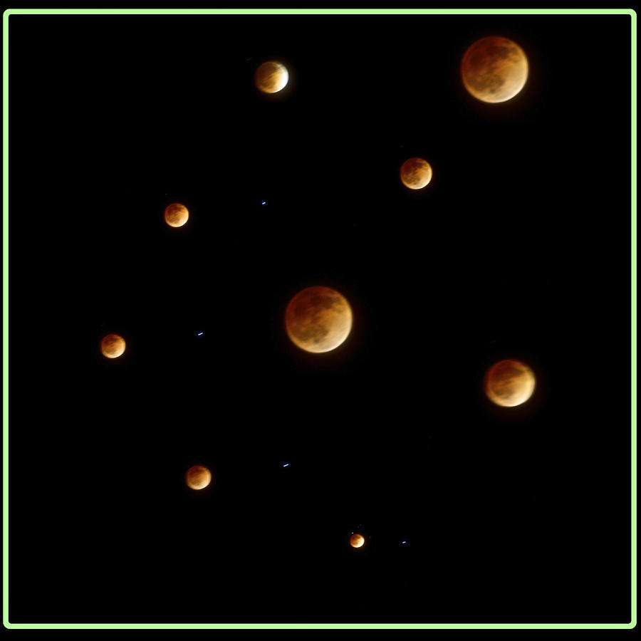 Blood Moon Collage Square Green Border Photograph by SC Heffner