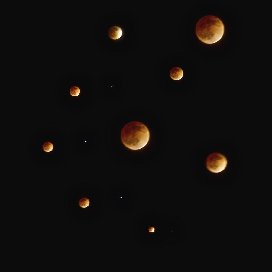 Blood Moon Collage Square Photograph by SC Heffner