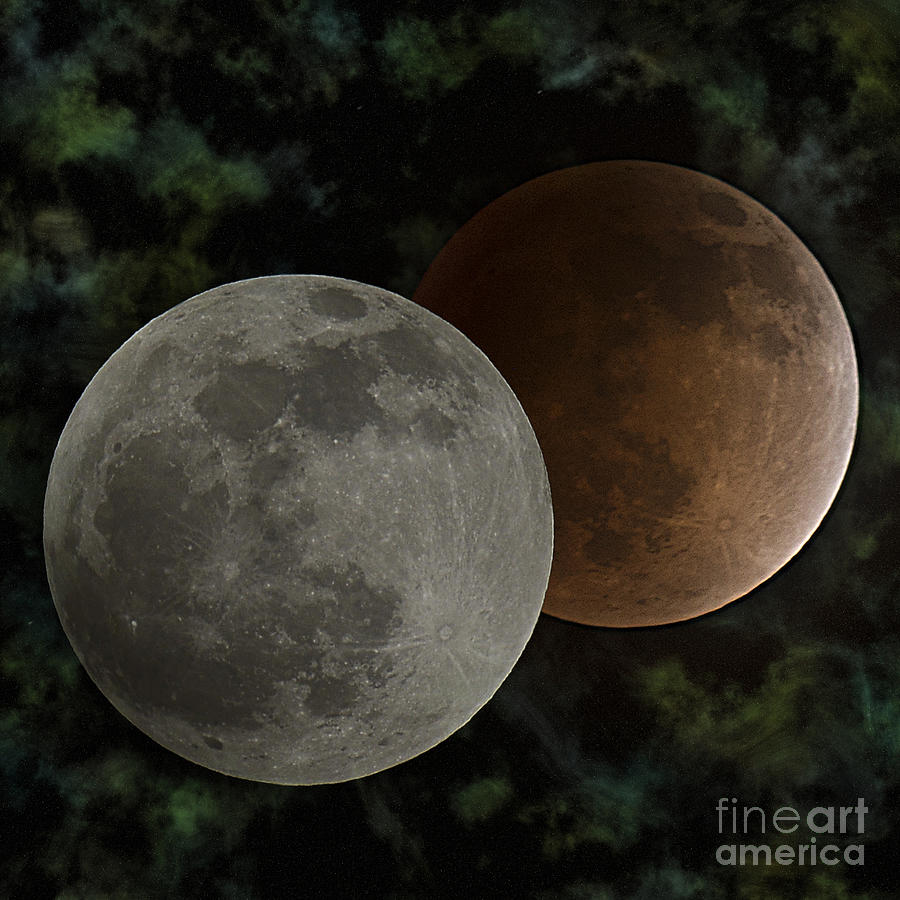 Blood Moon Composite Photograph by Dianne Phelps