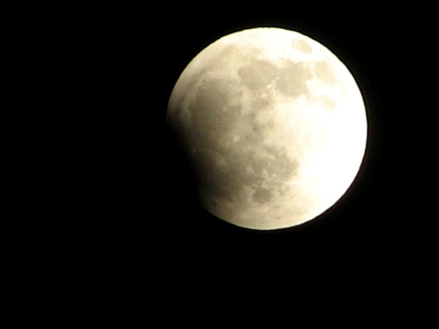 Blood Moon Eclipse Photograph by Chris Dunn
