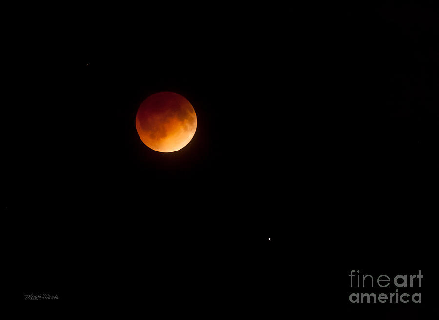 Nature Photograph - Blood Moon Eclipse S Florida 0315AM April 15 2014 by Michelle Constantine