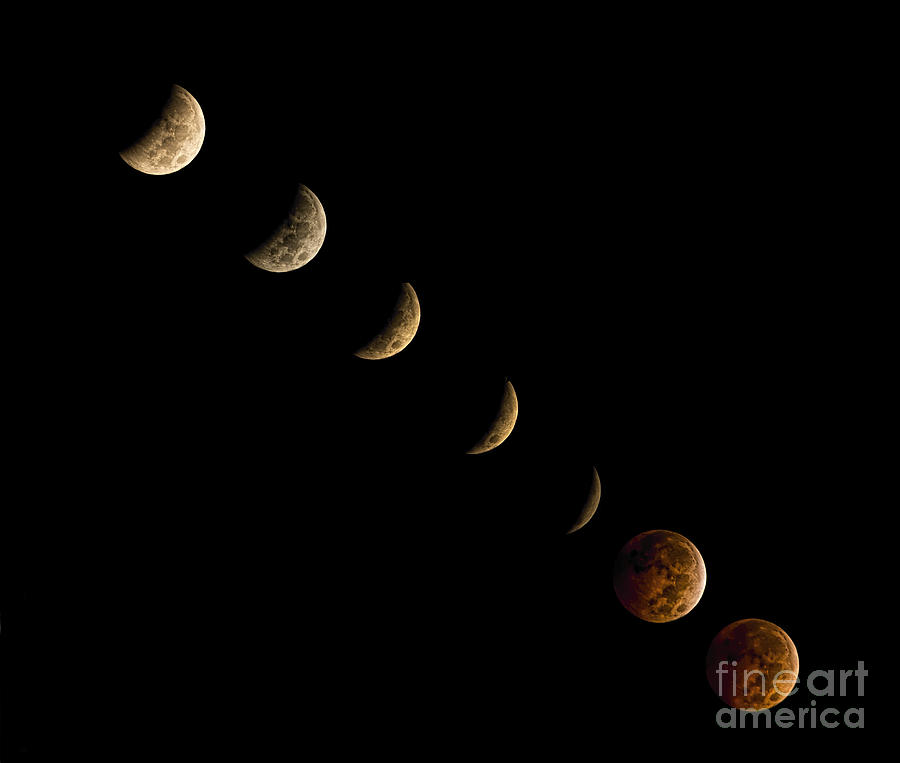 Nature Photograph - Blood Moon by James Dean