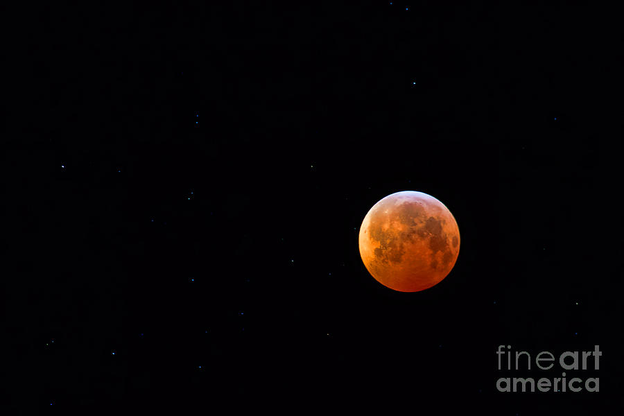 Blood Moon Photograph by Jim Garrison