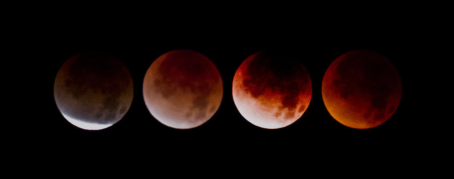Blood Moon Photograph by Joel Loftus