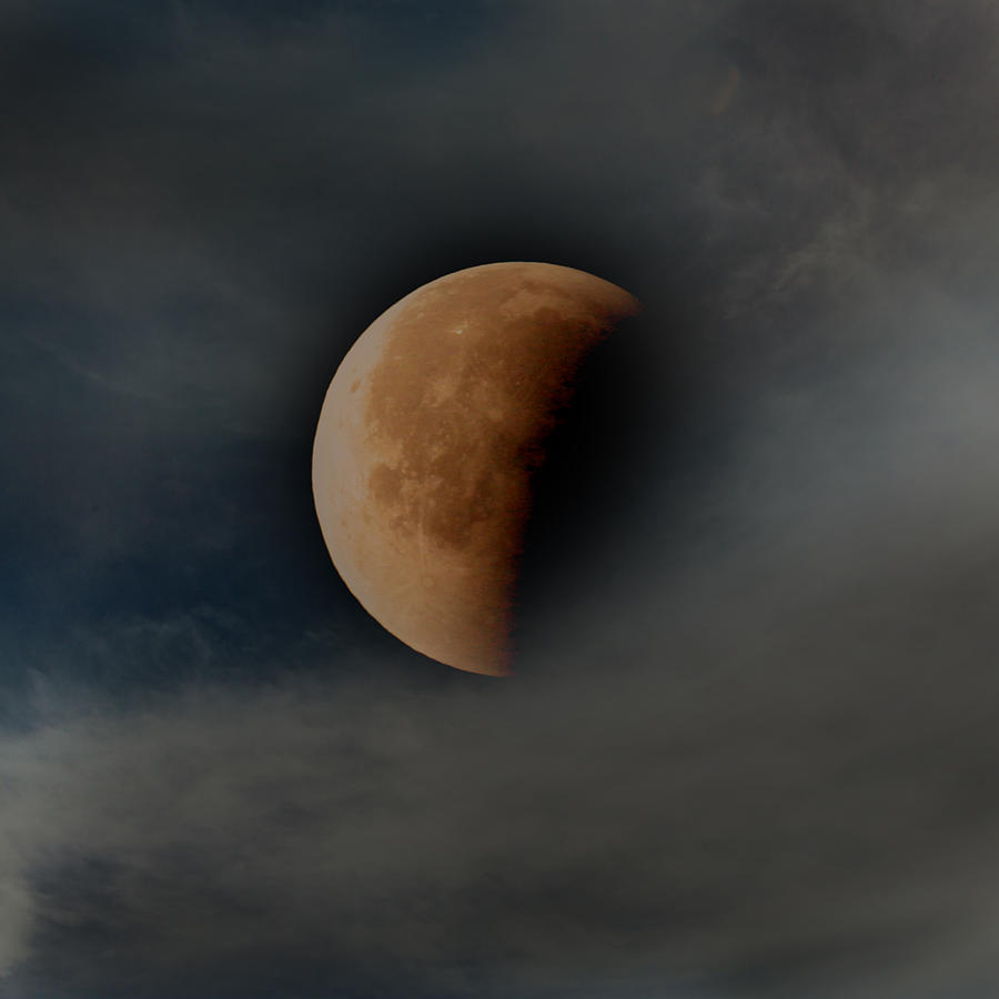 Blood Moon Photograph by Joseph G Holland