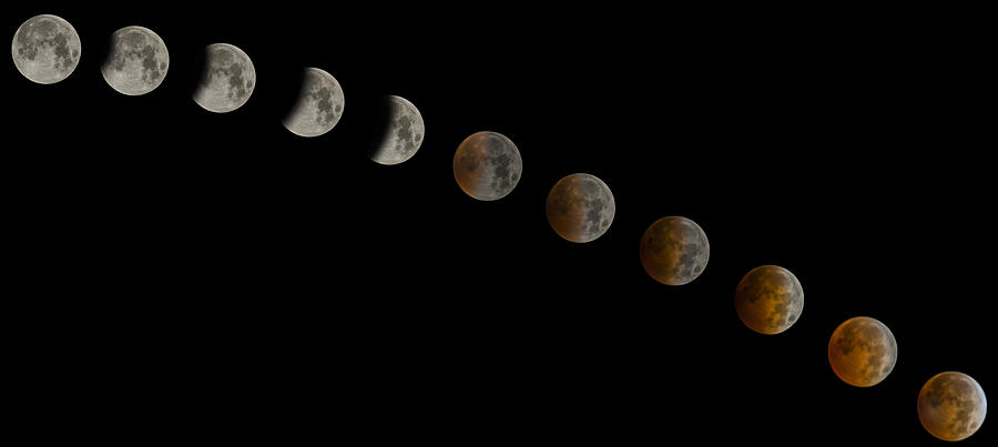 Moon Photograph - Blood Moon Eclipse by Jeremy Jensen