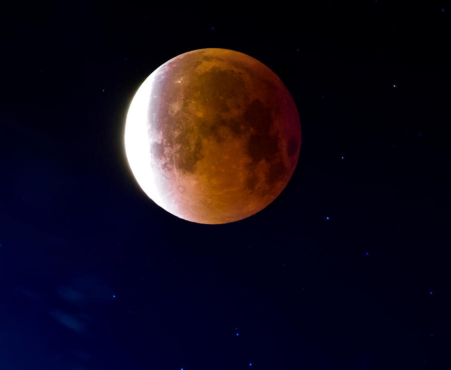 Blood Moon Lunar Eclipse Photograph by Mark Andrew Thomas