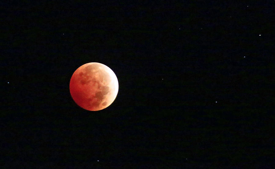 Blood Moon On A Starry...starry Night Photograph by Cissy Fry Wilson ...