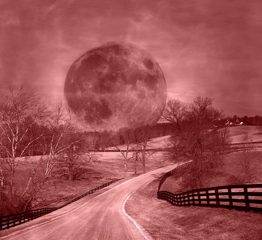 Tree Photograph - Blood Moon One of Two by Betsy Knapp