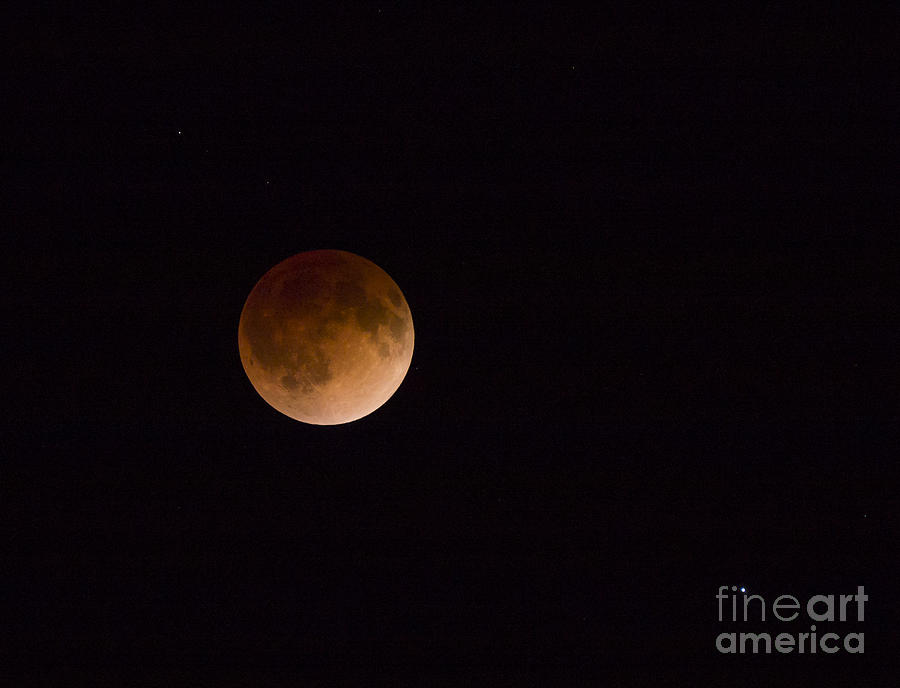 Blood Moon Photograph by Steven Ralser