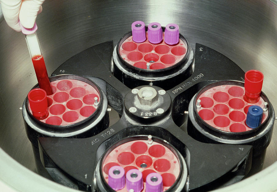 Blood Samples Being Loaded Into A Centrifuge Photograph by Klaus Guldbrandsen/science Photo Library