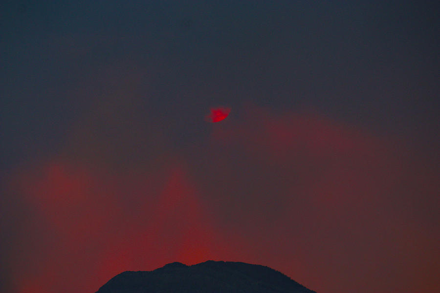 Blood Sun by Dennis Galloway Blood Sun by Dennis Galloway