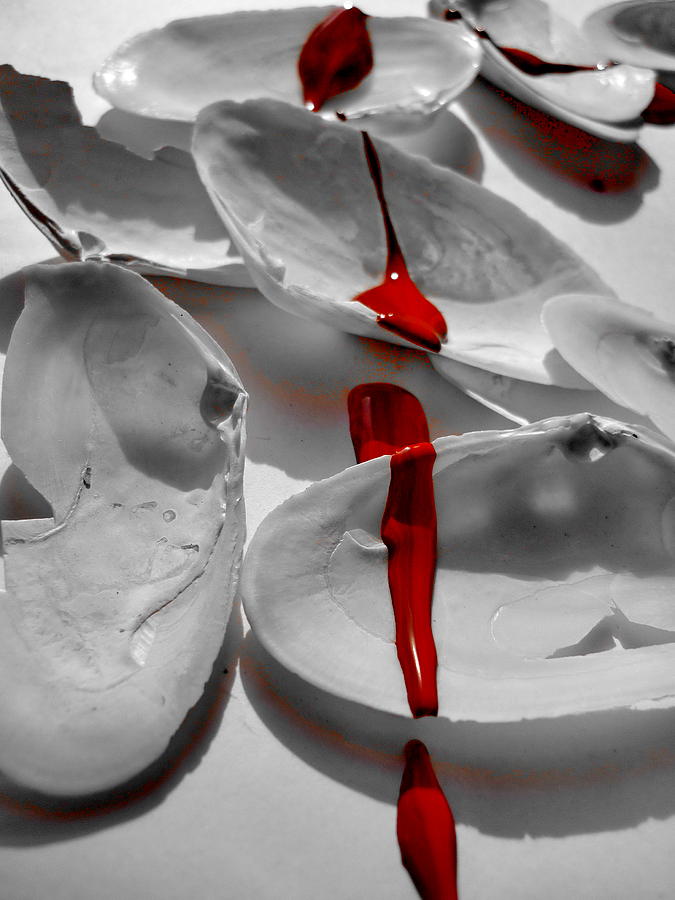 Blood Tears Photograph by Beto Machado - Fine Art America