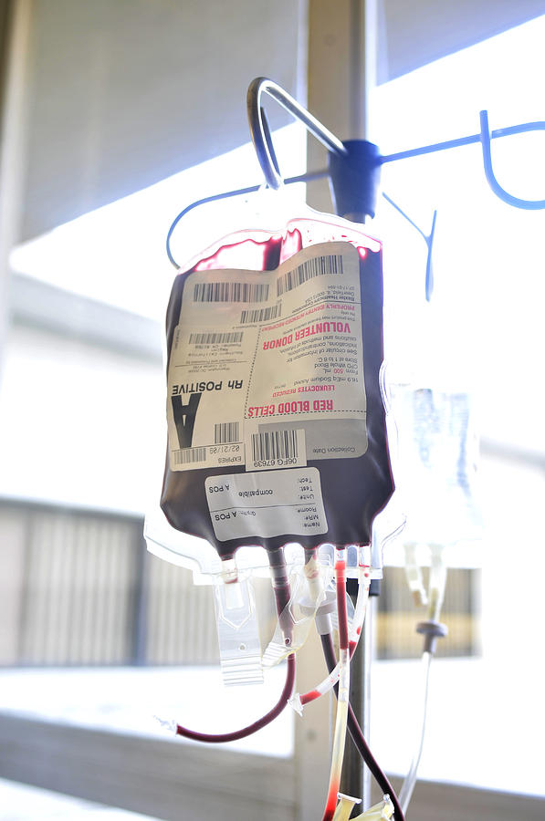 Blood transfusion bag on IV Photograph by Jade Brookbank