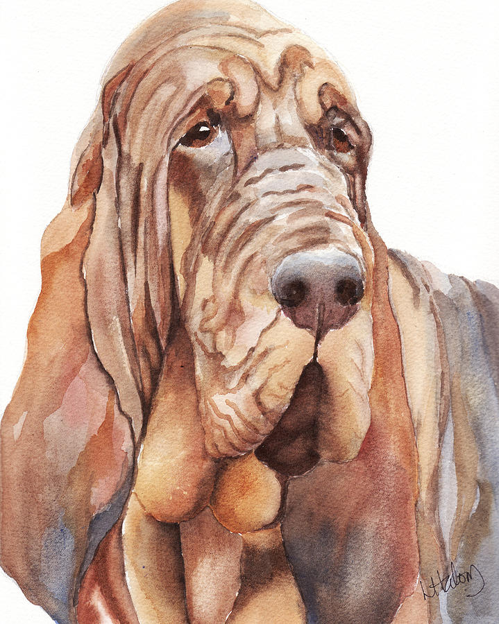 Bloodhound Painting by Greg and Linda Halom