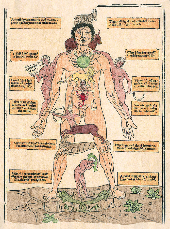 Bloodletting Chart, 1493 Photograph by Granger