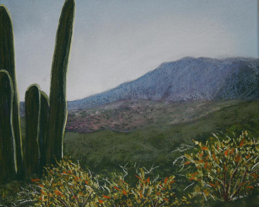 Bloody Basin View Pastel by Michele Turney