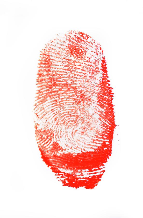 Bloody Fingerprint Photograph By Cordelia Molloy Pixels   Bloody Fingerprint Cordelia Molloy 