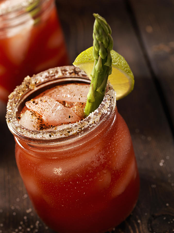 Bloody Mary or Caesar Cocktail Photograph by Lauri Patterson