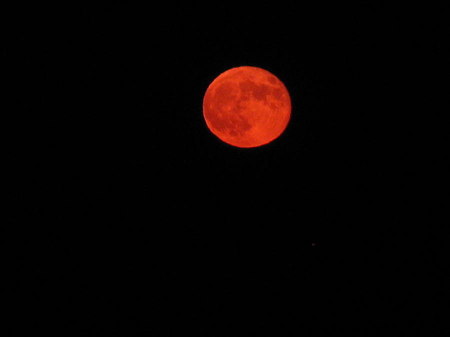 Bloody Moon Photograph by Andonis Katanos