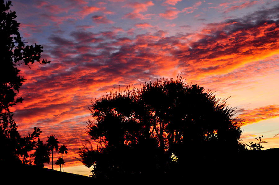Bloody Sunset Over Palm Desert Photograph by Jay Milo