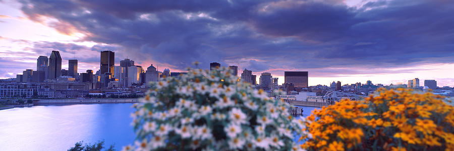 Architecture Photograph - Blooming Flowers With City Skyline by Panoramic Images