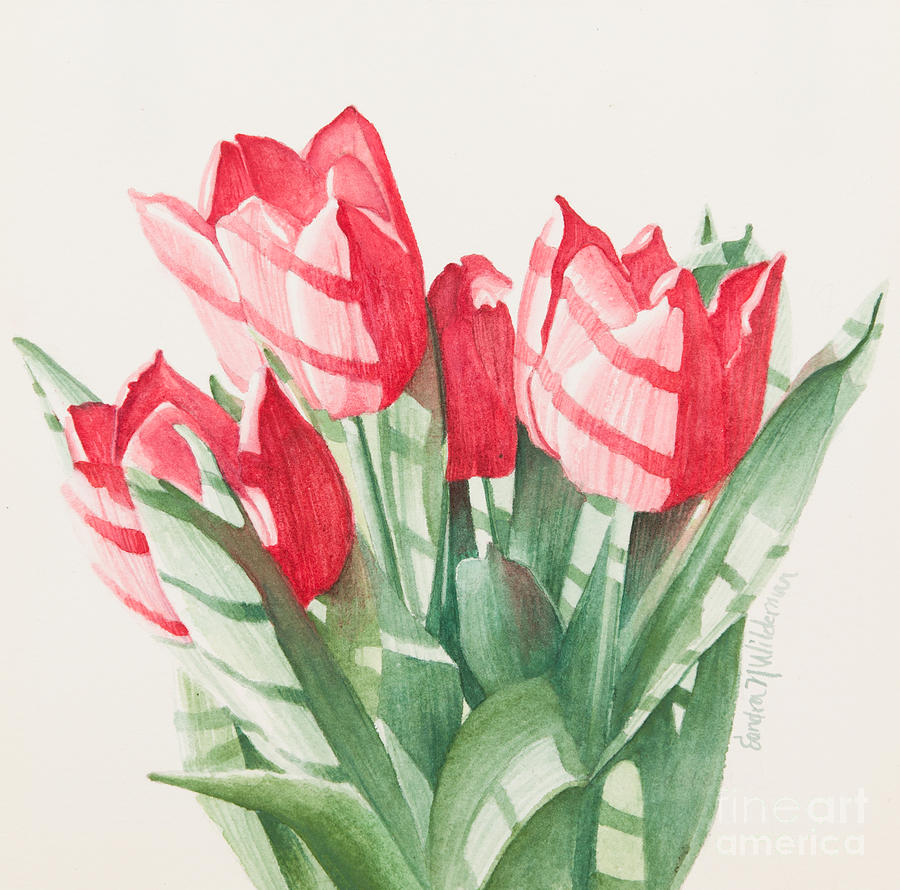 Sun-kissed Tulips Painting by Sandra Neumann Wilderman