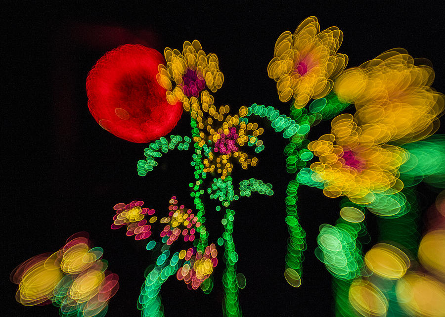 Christmas Photograph - Blooming Lights are such a blur by Scott Campbell
