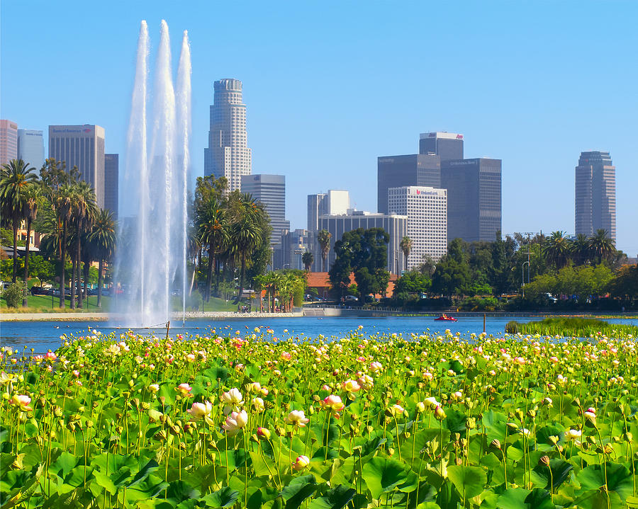 Blooming Lotus Echo Park and Downtown Los Angeles Skyline Photograph by Ram Vasudev