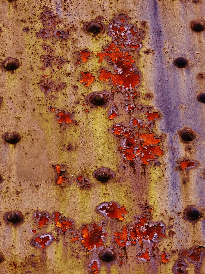 Blooming Rust Photograph by Charles Lucas