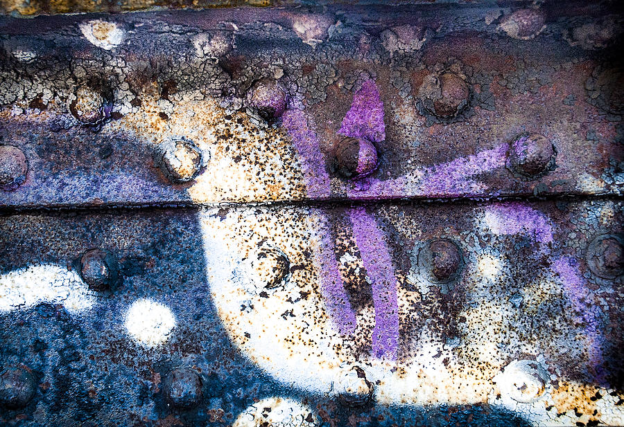 Bloomingdale Trail Graffiti XI Photograph by Roger Lapinski