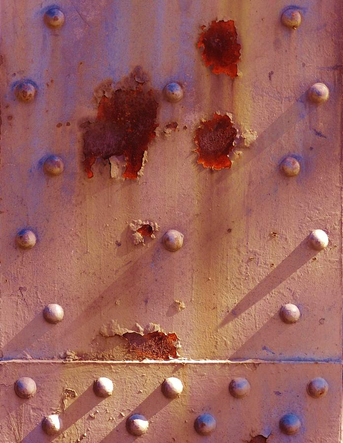 Blooms of Rust and Shadow Photograph by Charles Lucas