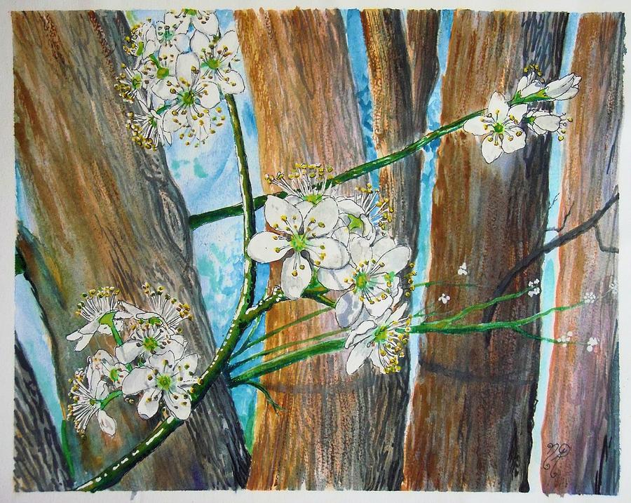 Blooms of the Cleaveland Pear Painting by Nicole Angell
