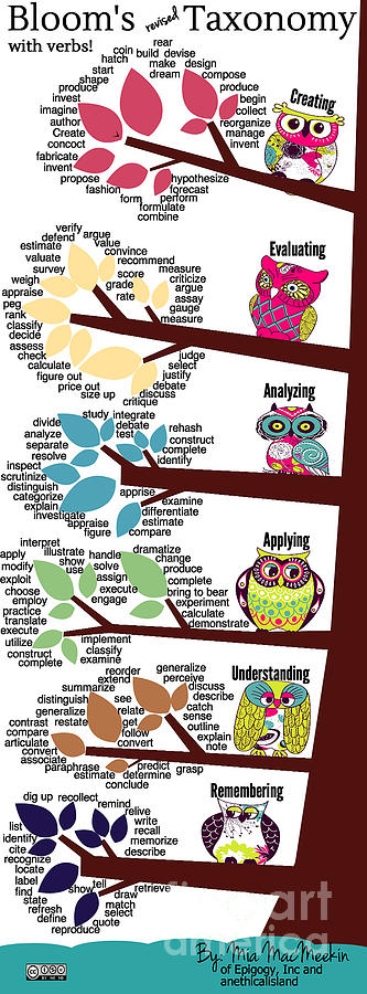 Owl Photograph - Blooms Taxonomy with Verbs by Shawn MacMeekin