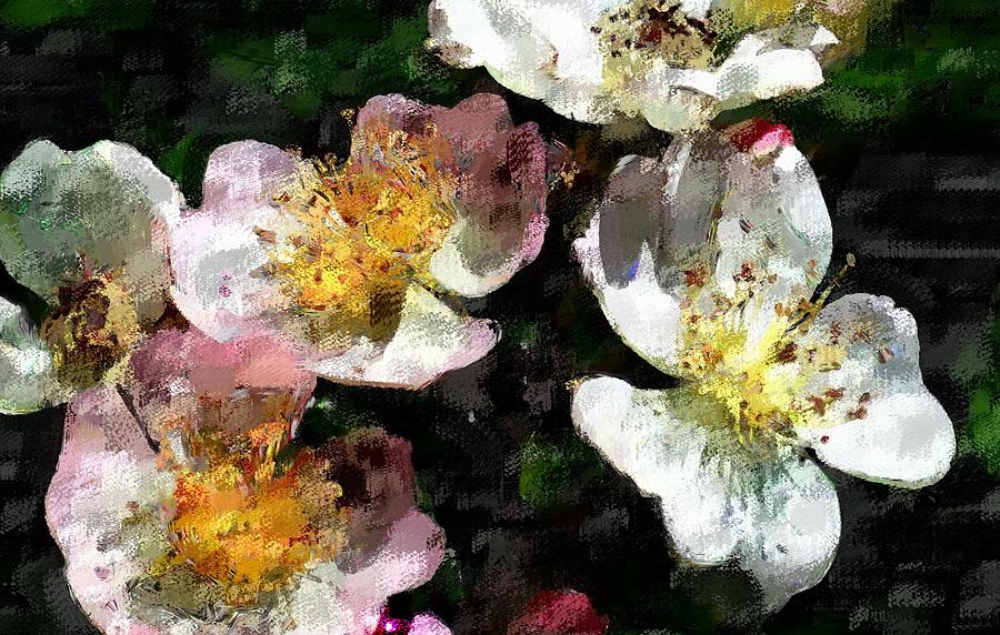 Blossom Digital Art by David Lane