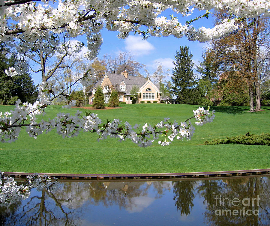 Blossom-Framed House Photograph by Ann Horn