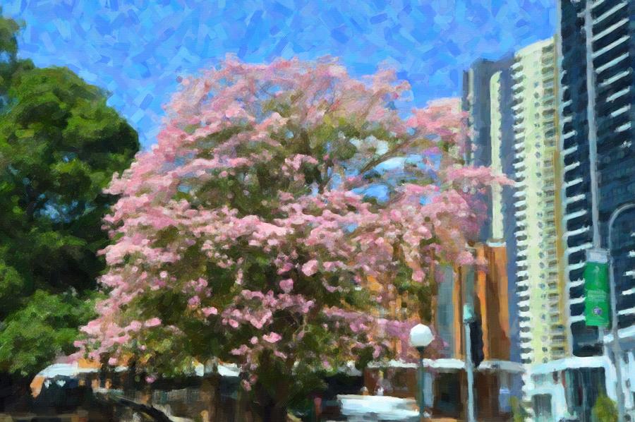 Blossom In Brisbane Mixed Media