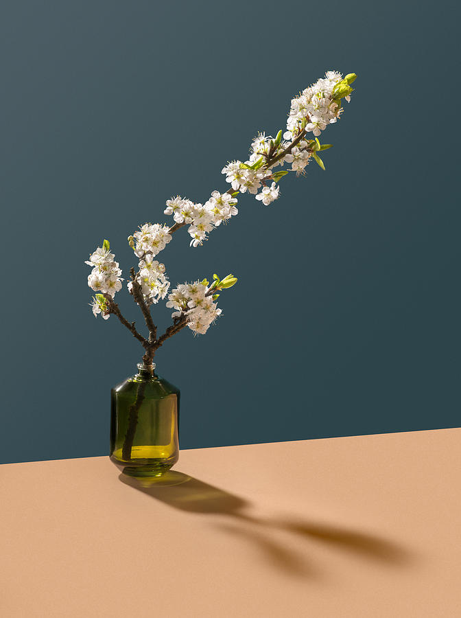 Blossom in glass bottle Photograph by Giles Angel