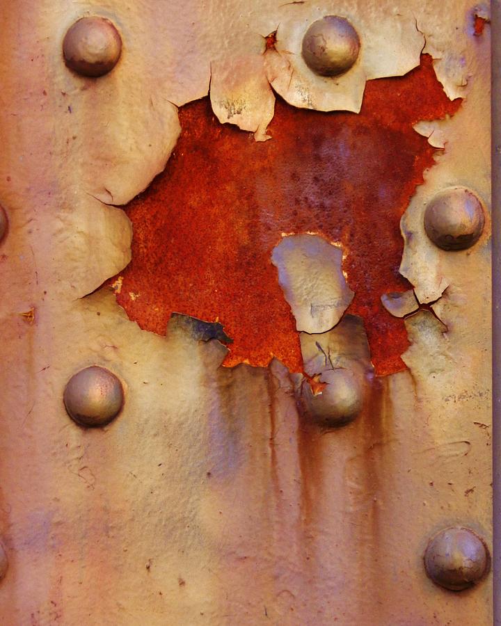 Blossom of Rust Photograph by Charles Lucas